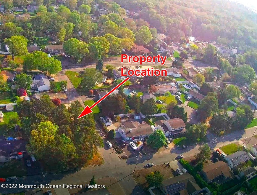312 Pine Forest (1)
