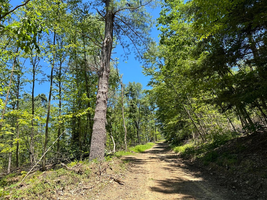 1253 Shawna Rd, Cherry Tree, PA 15724 - photo 1