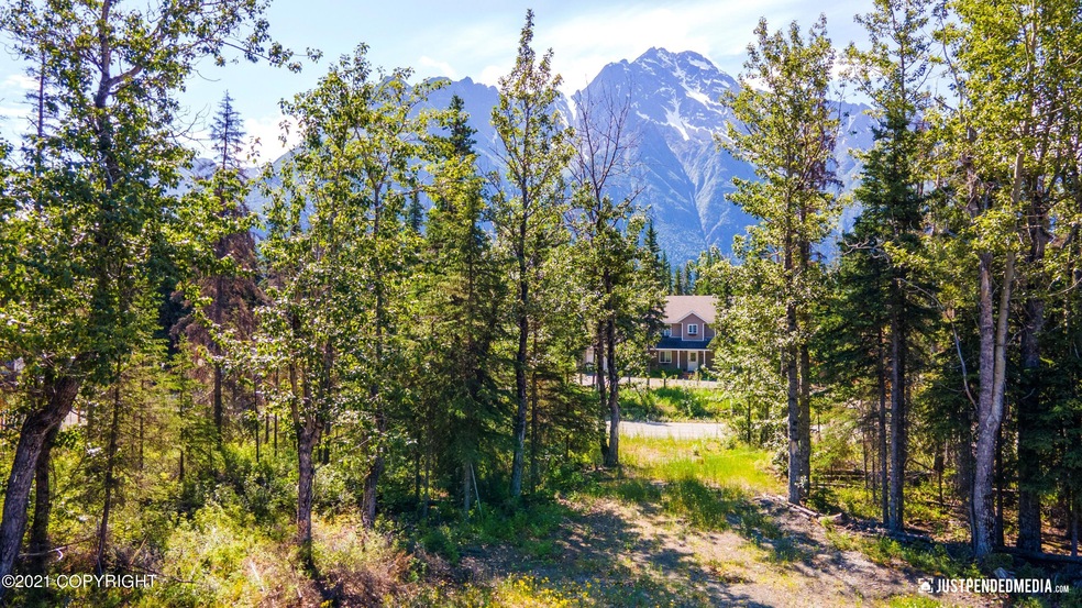 Pioneer Peak View