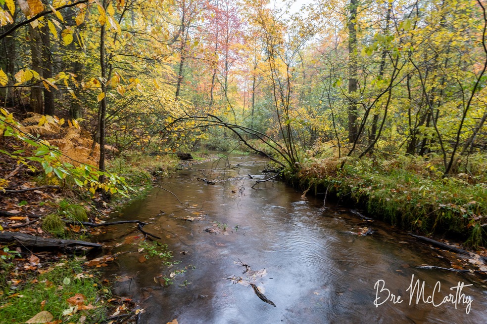 Parcel 4 - Little Bear Creek