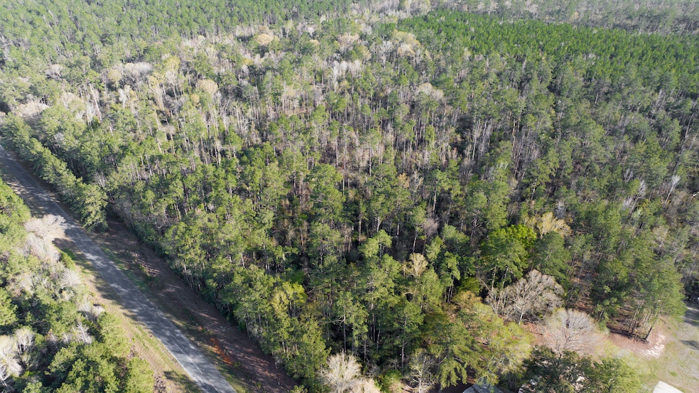 0 Tbd Griffin Rd, Deridder, LA 70634 - photo 1