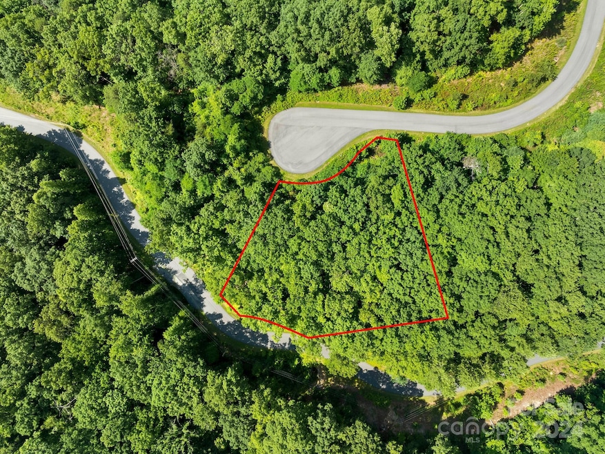 0 Big Oak Ridge unit 91 CAR4143432, Lake Lure, NC 28746 - photo 1