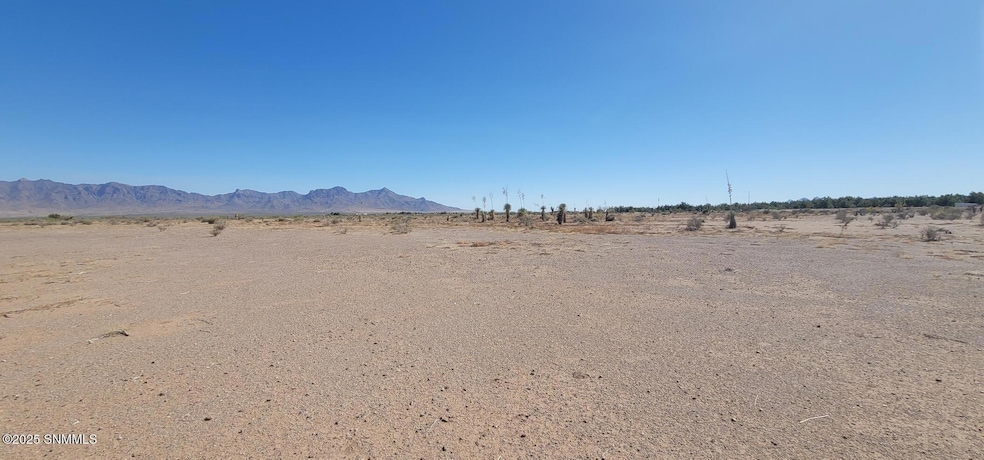 0000 Purple Sage Rd SW, Deming, NM 88030 - photo 1