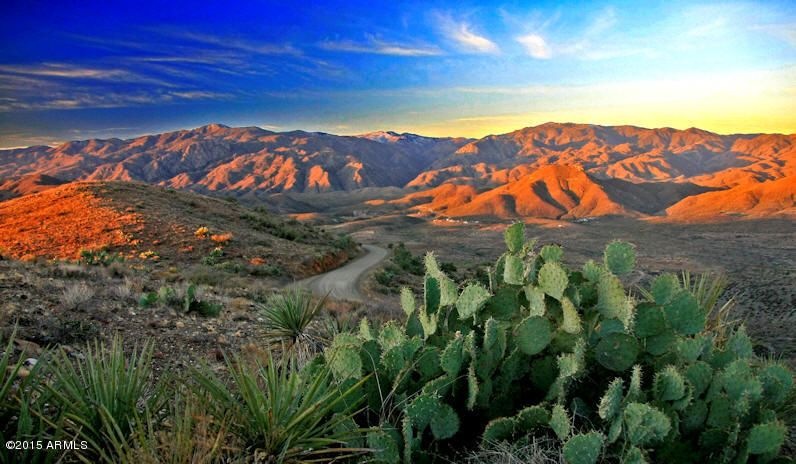 Bradshaw Mountains