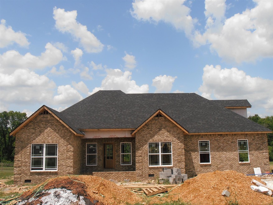 506 Apple Blossom Trail, Shelbyville, TN 37160 - photo 1