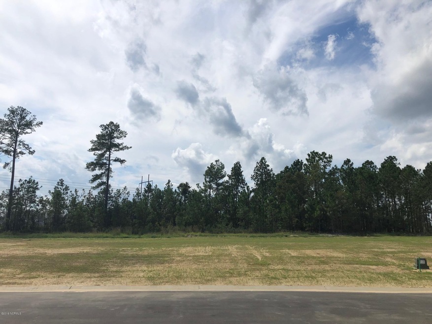 5338 Barcroft Lake Dr, Leland, NC 28451 - photo 1