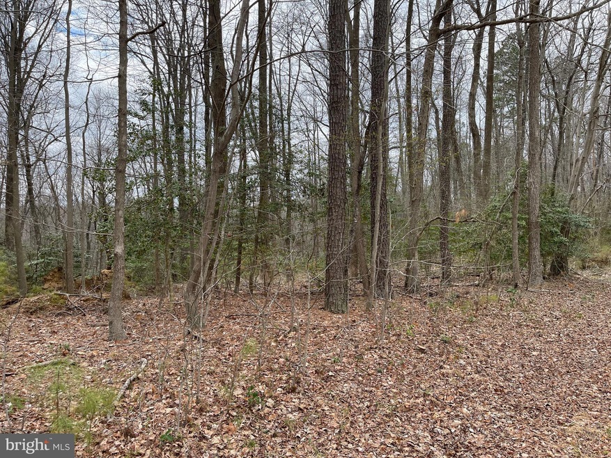 2345 Park Chesapeake Dr, Lusby, MD 20657 - photo 1