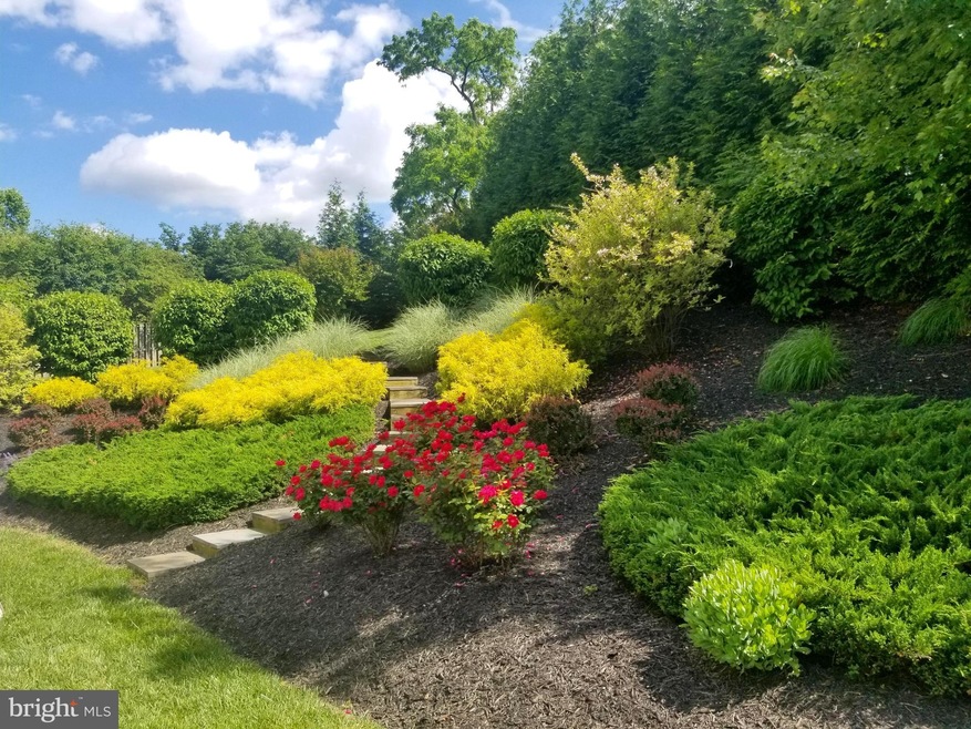 6465 Swimmer Row Way, Columbia, MD 21044 - photo 1