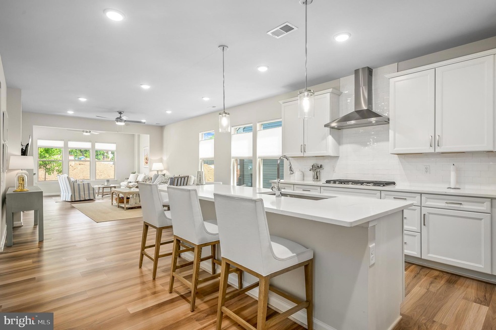 46414 Rose River Terrace, Sterling, VA 20164 - photo 1