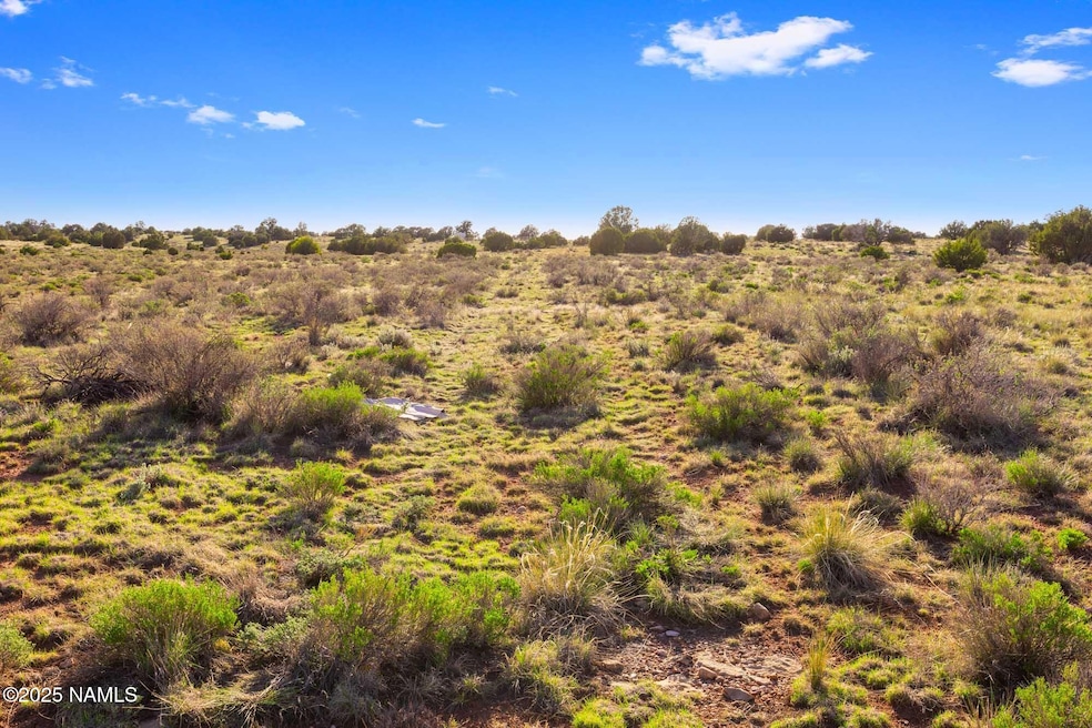 591 S Palmetto Rd, Valle, AZ 86046 - photo 1
