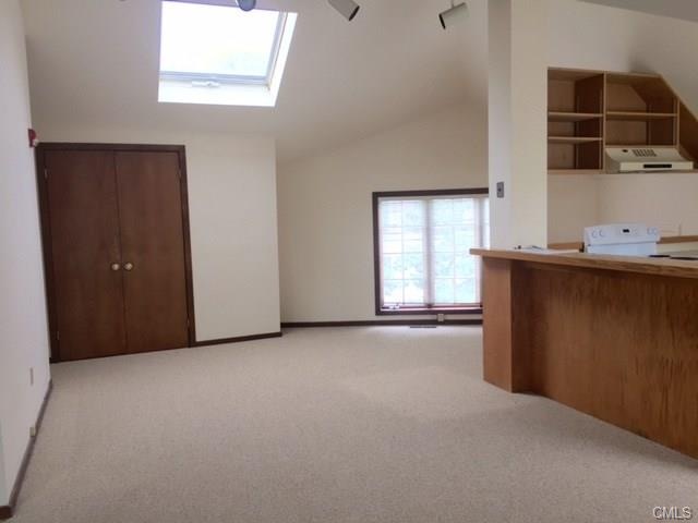 Living area with vaulted ceiling and sky light.
