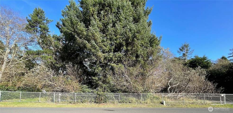 548 W Chance A La Mer NW, Ocean Shores, WA 98569 - photo 1