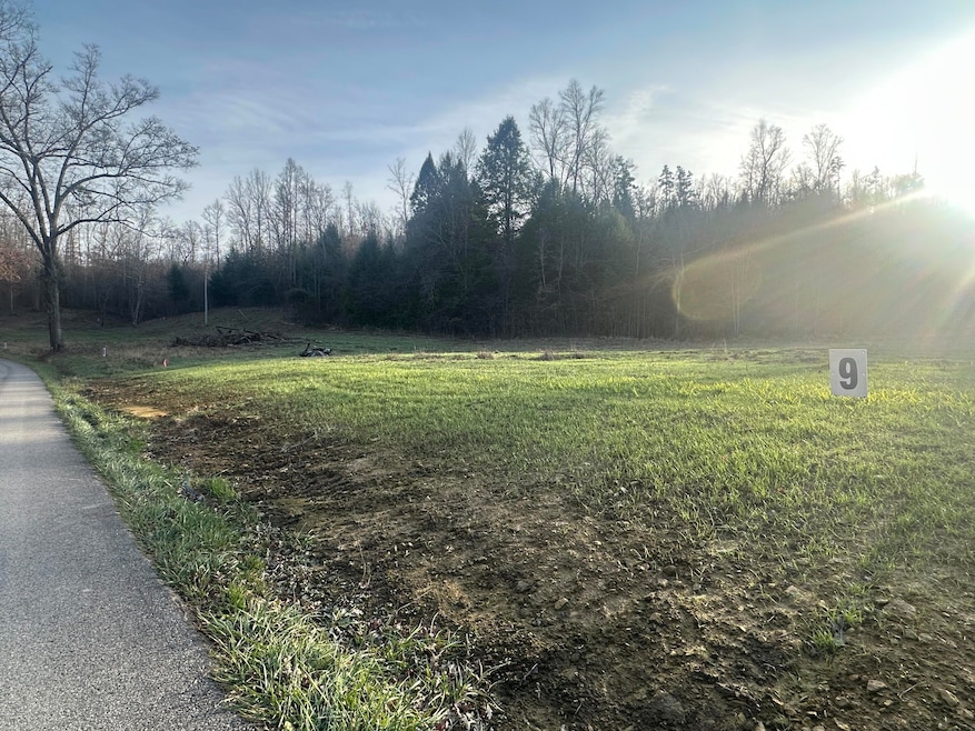Lot 9 Hensley Rd, East Bernstadt, KY 40729 - photo 1