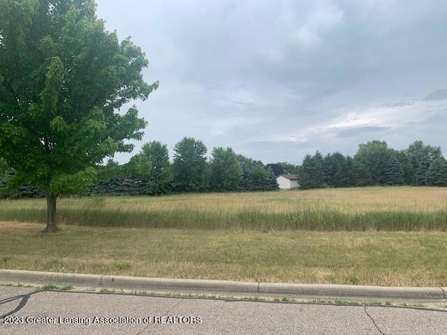 2848 Trillium Creek Way, Saint Johns, MI 48879 - photo 1