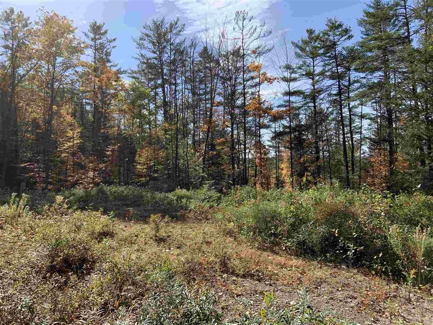 64 Beaver Pond Rd, Lyman, NH 03585 - photo 1