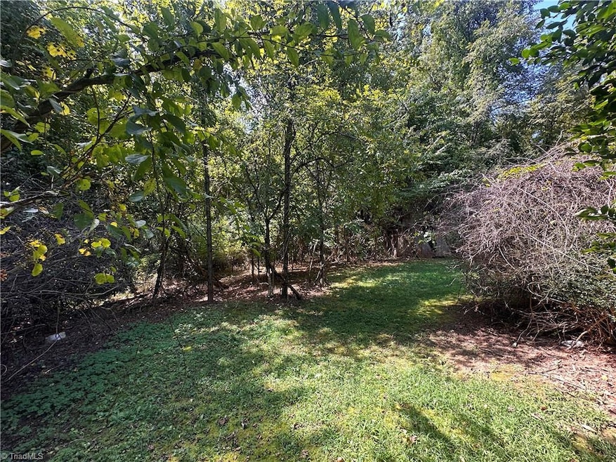 153 Pineway Ln, Thurmond, NC 28683 - photo 1