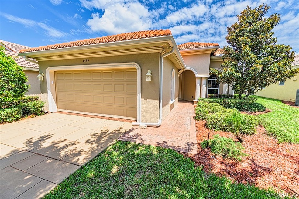 Welcome to 1335 W Skyview Crossing Dr in Terra Vis