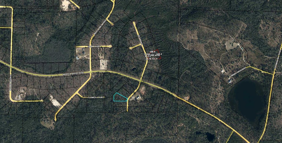 Lot 29 Red Rd, Marianna, FL 32448 - photo 1