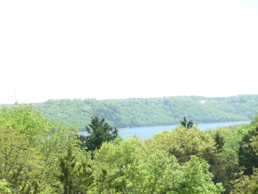 Tbd Elm St, Ruth B Rural Township, MO 65686 - photo 1