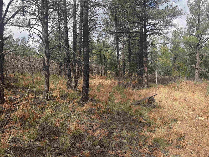 0 Summer Dr unit 171889, Timberon, NM 88350 - photo 1