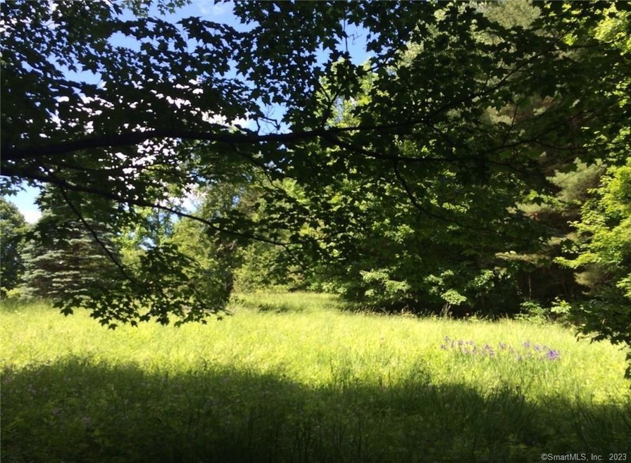 101 A&B North St, Norfolk, CT 06058 - photo 1