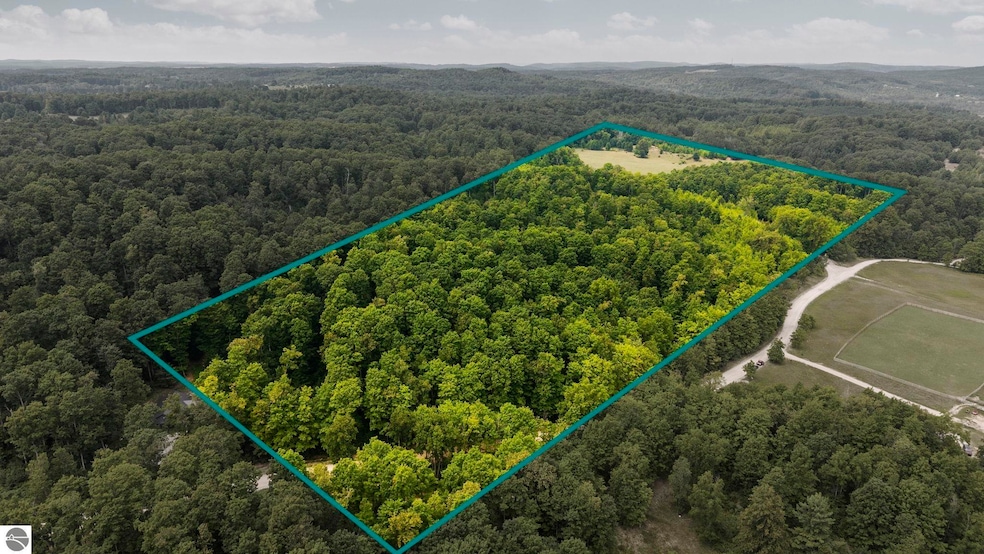 0 S Hill Rd, Cedar, MI 49621 - photo 1