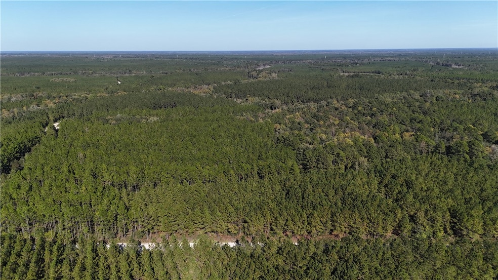 0 Antioch Cemetery Rd, Folkston, GA 31537 - photo 1