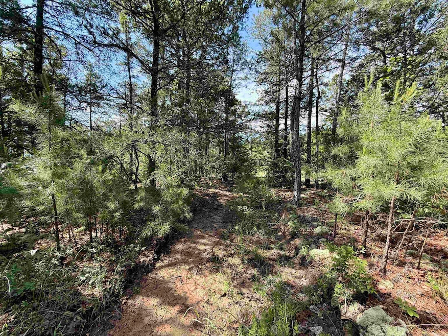 001-01049-000 Cr 128, Calico Rock, AR 72519 - photo 1