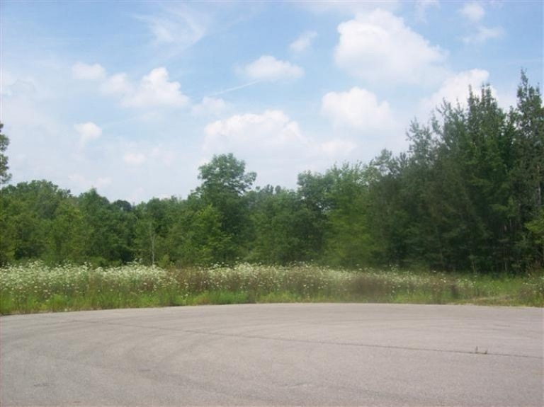 0 Canter Dr unit G 14018155, Dorr Township, MI 49348 - photo 1