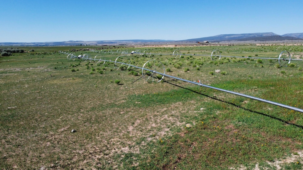 Riverfront Agricultural Property!