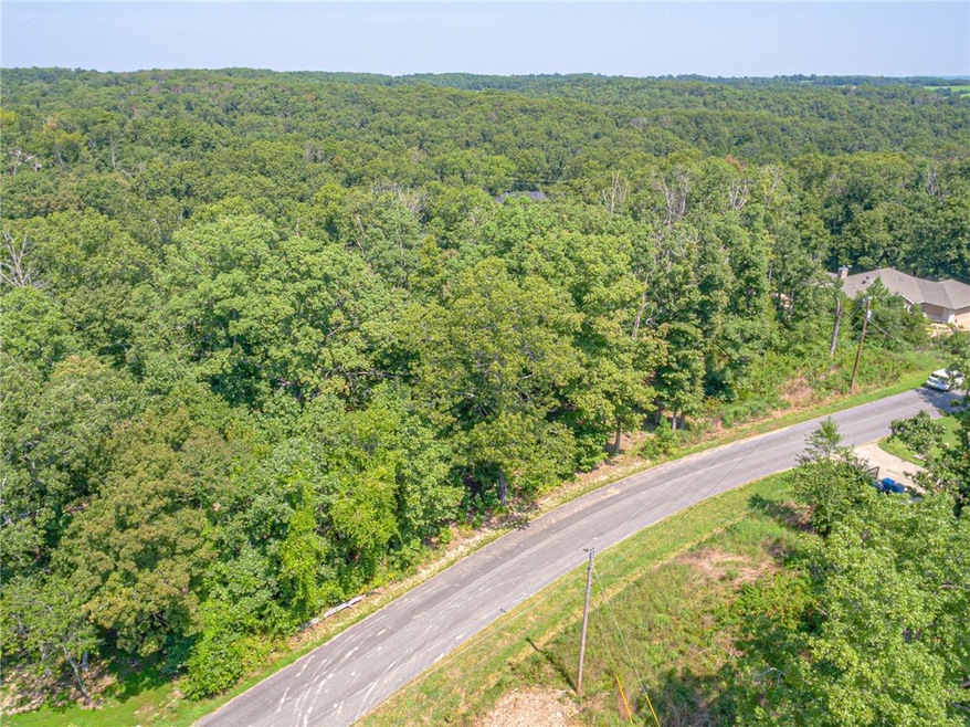 13 Drummore Dr, Bella Vista, AR 72715 - photo 1