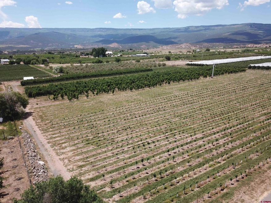 Lot 2 NW Cedar Ave, Cedaredge, CO 81413 - photo 1