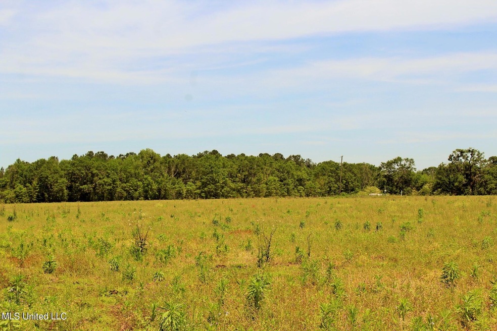 4.81ac Agricola Latonia Rd, Lucedale, MS 39452 - photo 1