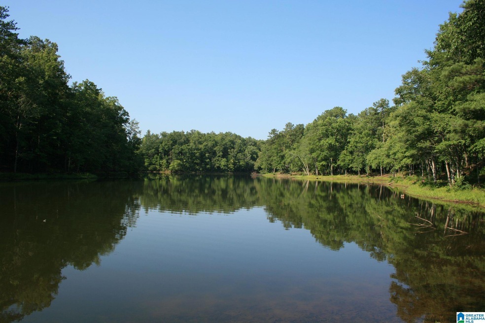 1299 PINE MOUNTAIN Trl Unit LOT-3