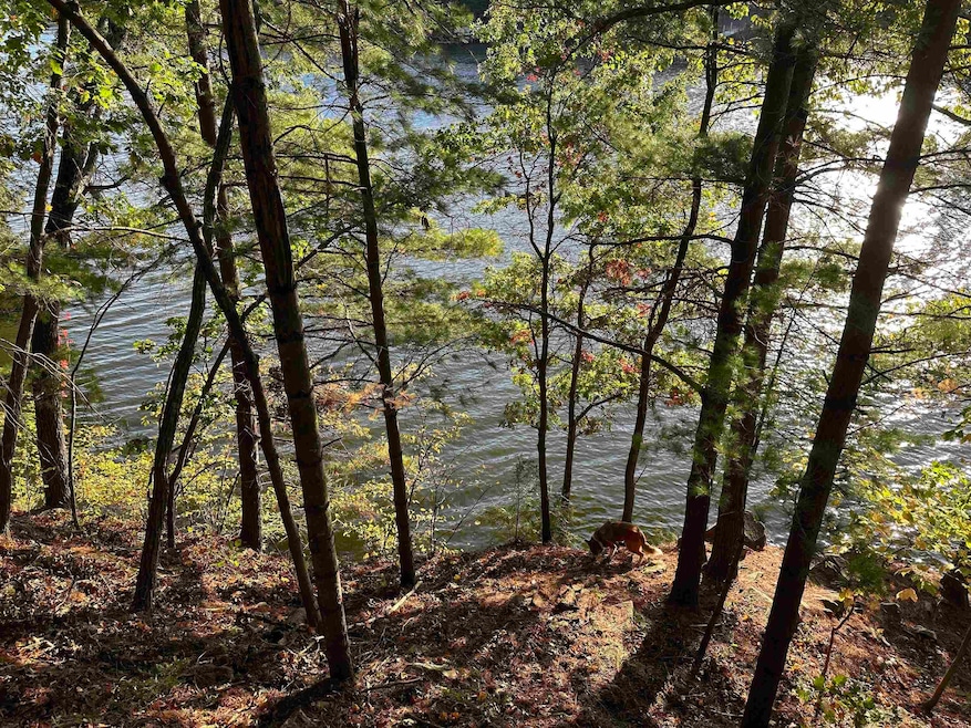 L15 Mockingbird Whippoorwill Ct, La Valle, WI 53941 - photo 1