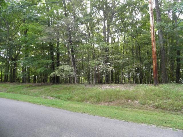 0 Big Falls Cir, Manchester, TN 37355 - photo 1