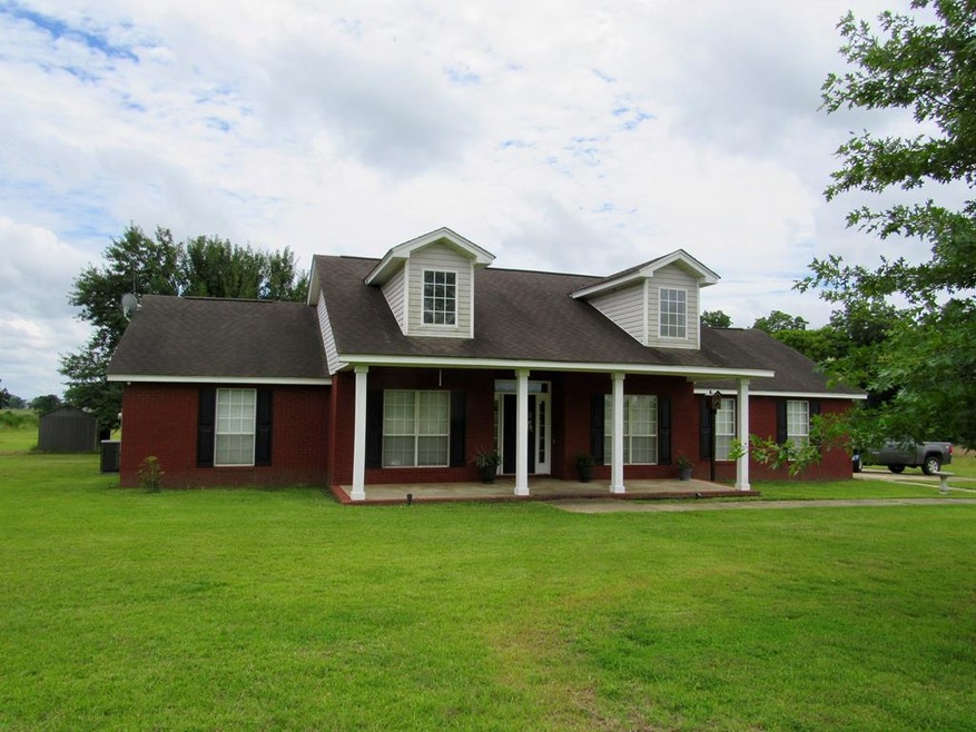 Main View