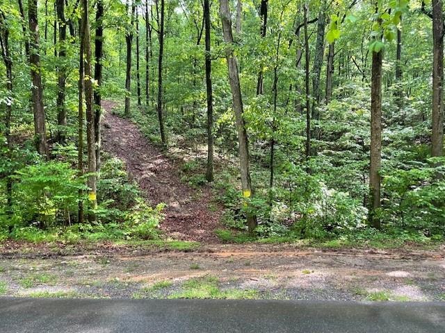 Cleared path near left corner of property line