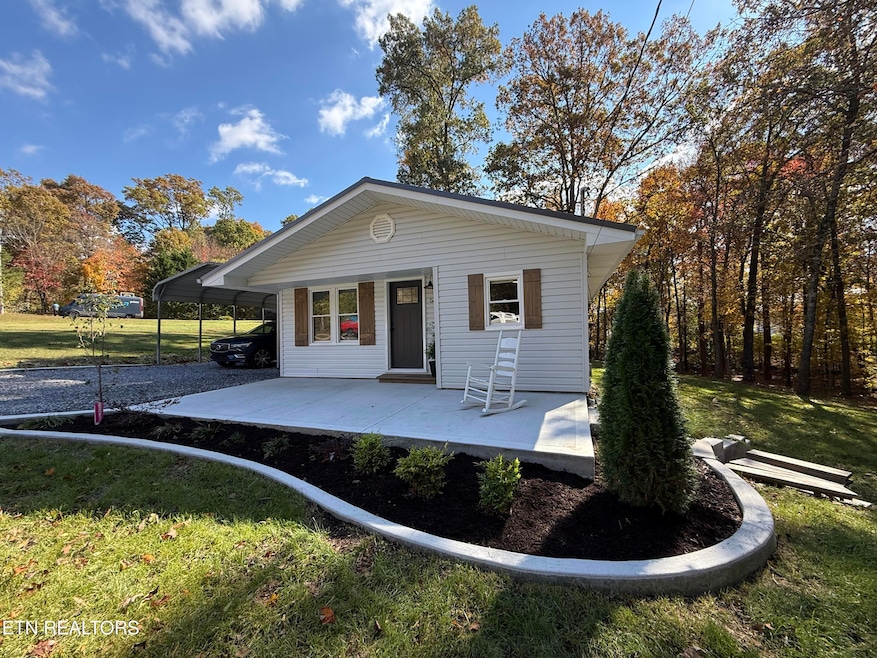 5320 Cain Rd, Knoxville, TN 37921 - photo 1