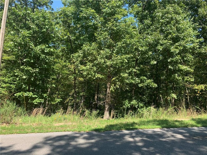 0 Pickering Dr unit 1157377, Bella Vista, AR 72714 - photo 1