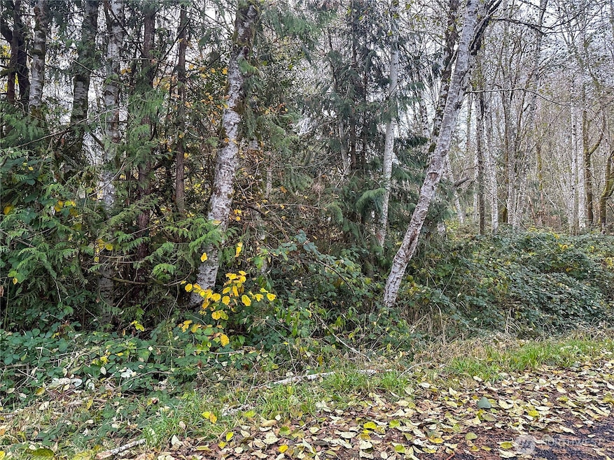 7605 Lakeside St SW, Olympia, WA 98512 - photo 1