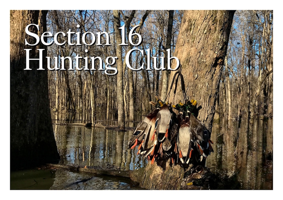 For Sale $11,993,000