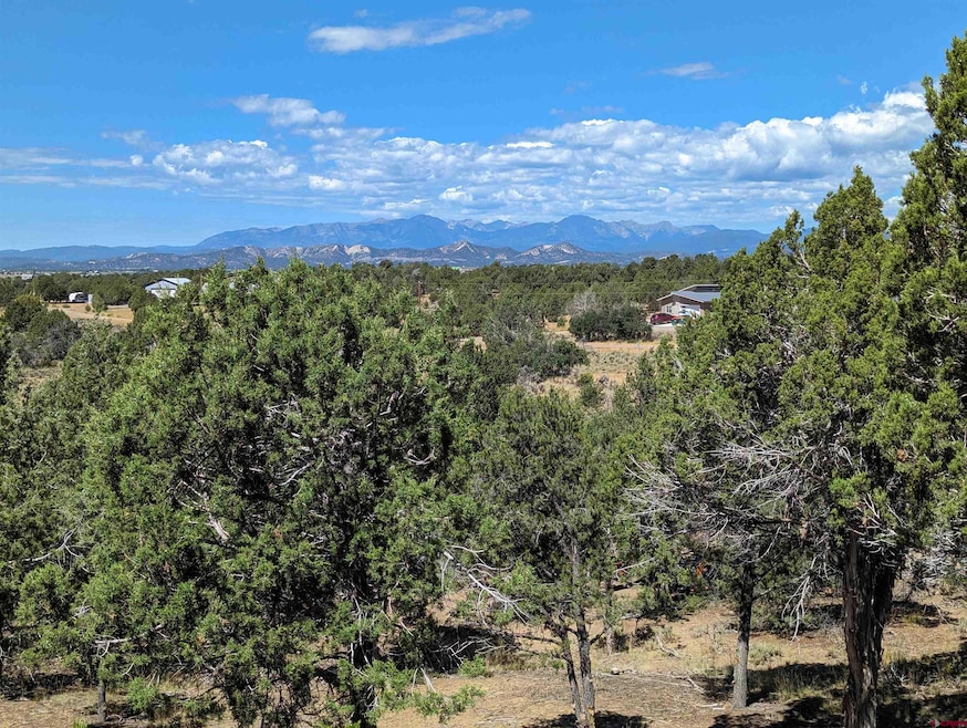 Lot 23 Farraday Rd, Durango, CO 81303 - photo 1