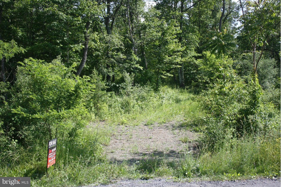 0 Hampshire Grade Rd unit 1002439090, Hedgesville, WV 25427 - photo 1