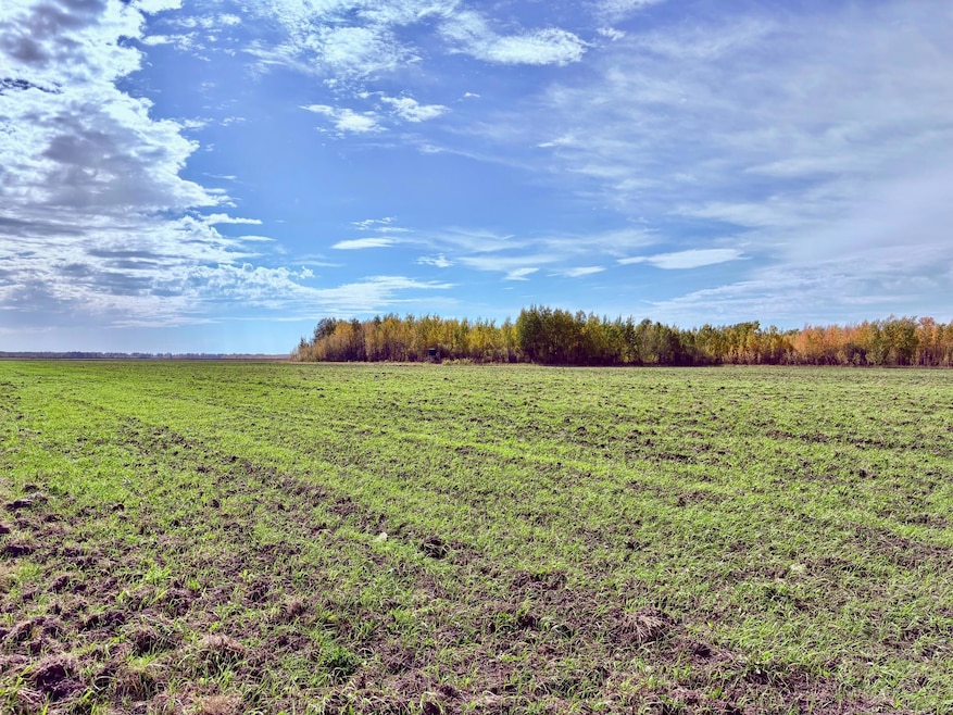 Sold $287,580 • Co-Listing Agent