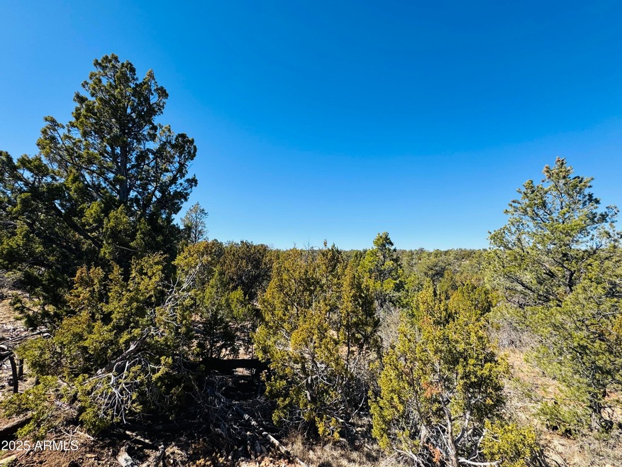 4108 Sunset Ridge Loop unit 135, Happy Jack, AZ 86024 - photo 1