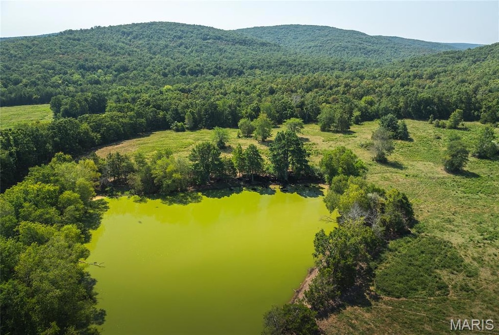 Bird's eye view of a water and mountain view and a heavily wooded area