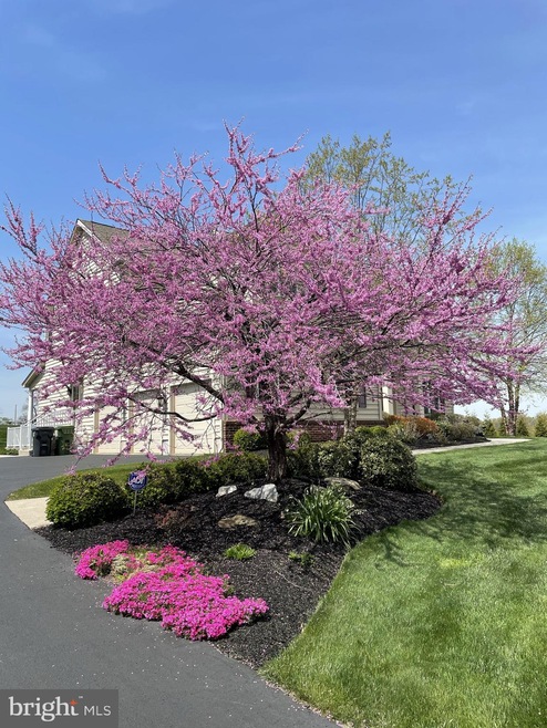 217 Chandler Way, Perkasie, PA 18944 - photo 1