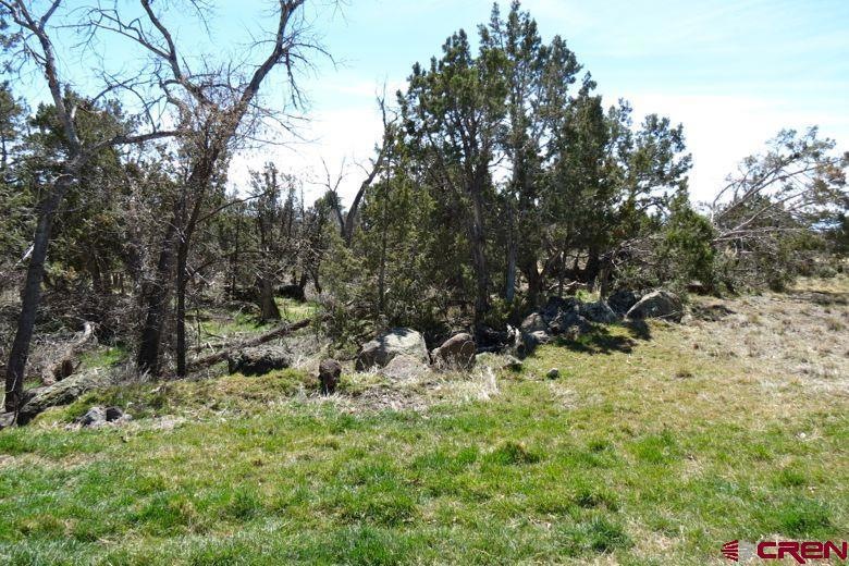 0 NE Ginters Grove Ln unit 703702, Cedaredge, CO 81413 - photo 1