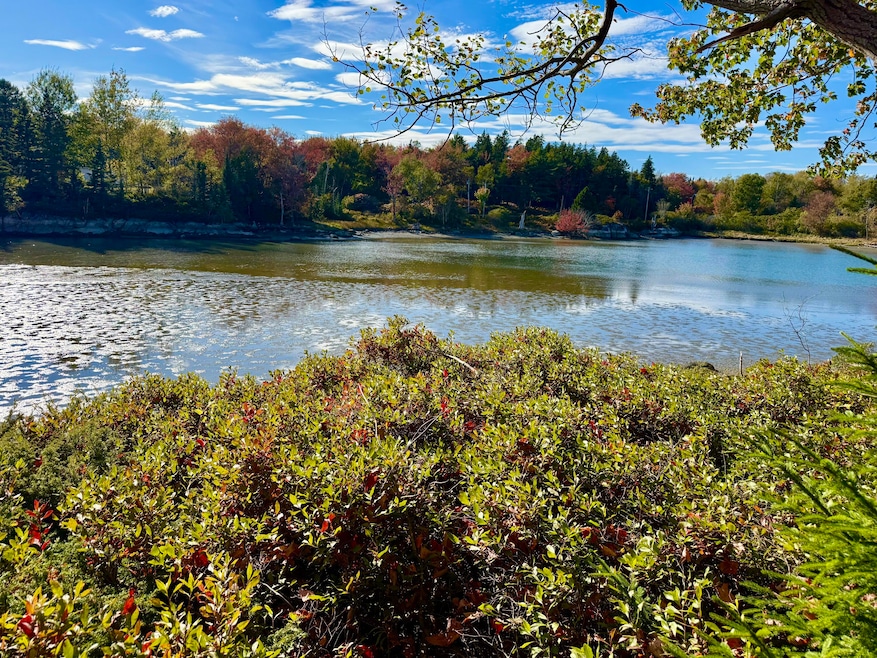 006-60 Round the Island Rd, Vinalhaven, ME 04863 - photo 1